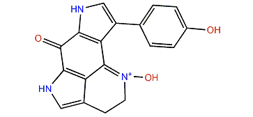 Tsitsikammamine A N-18 oxime